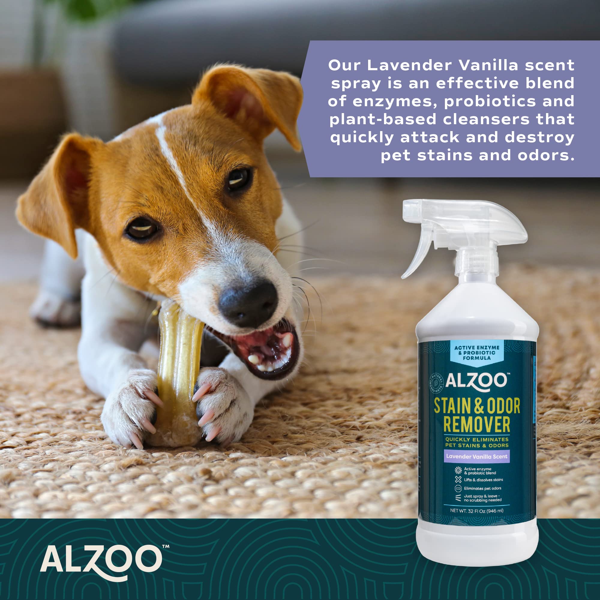 Alzoo Pee Be Gone Lavender Vanilla Pet Stain and Odor Remover - 32 Oz  