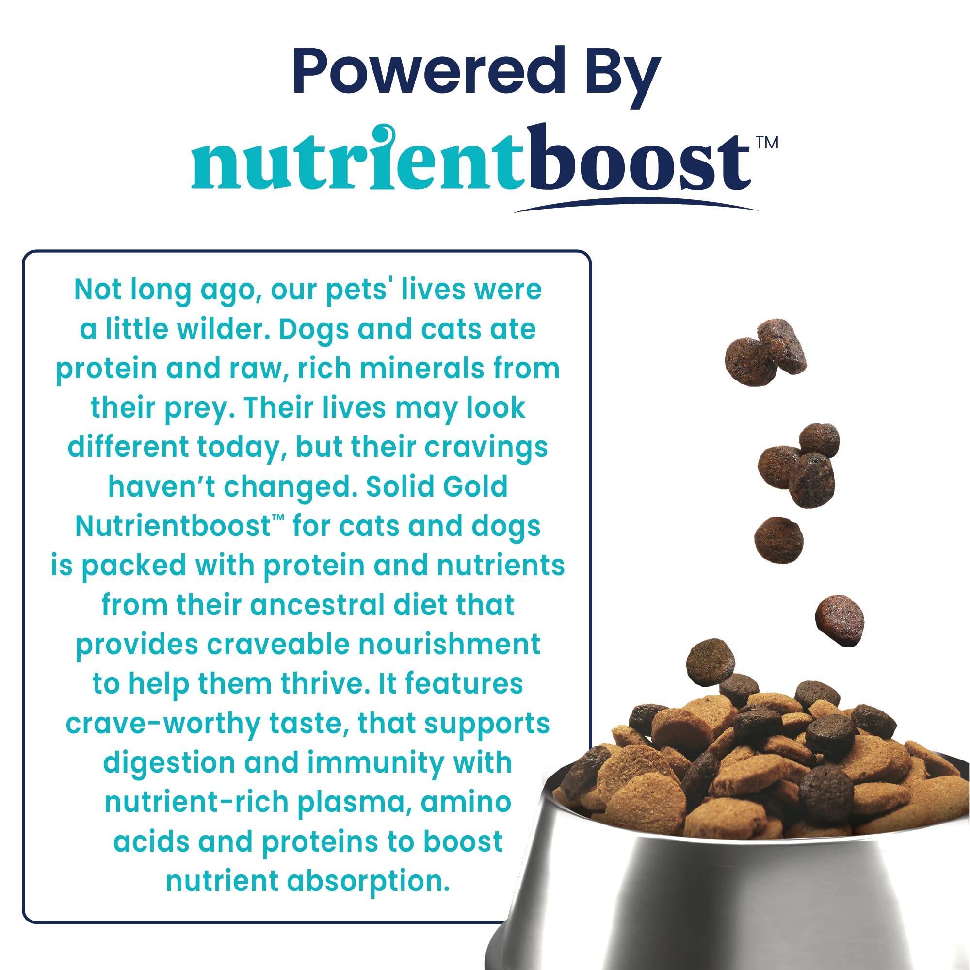 Solid Gold Nutrient Boost Grain-Free Wet Dog Food Meal Topper Pouch - 6 Oz  