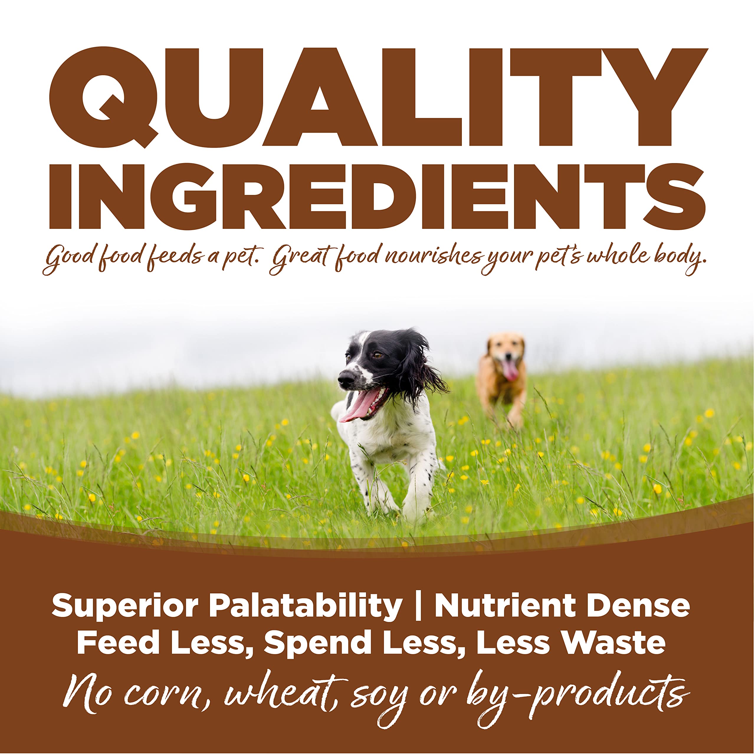 Nutrisource Lamb Meal and Brown Rice Large-Breed Formula Dry Dog Food - 26 Lbs  