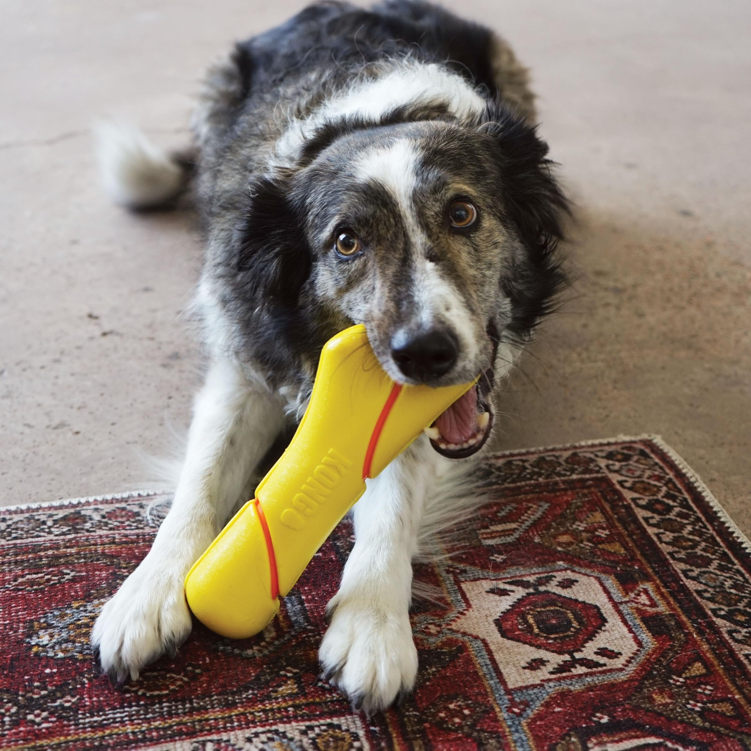 Kong Squeezz Tennis Buoy Rope and Squeak Floating Rubber Dog Toy - Large  