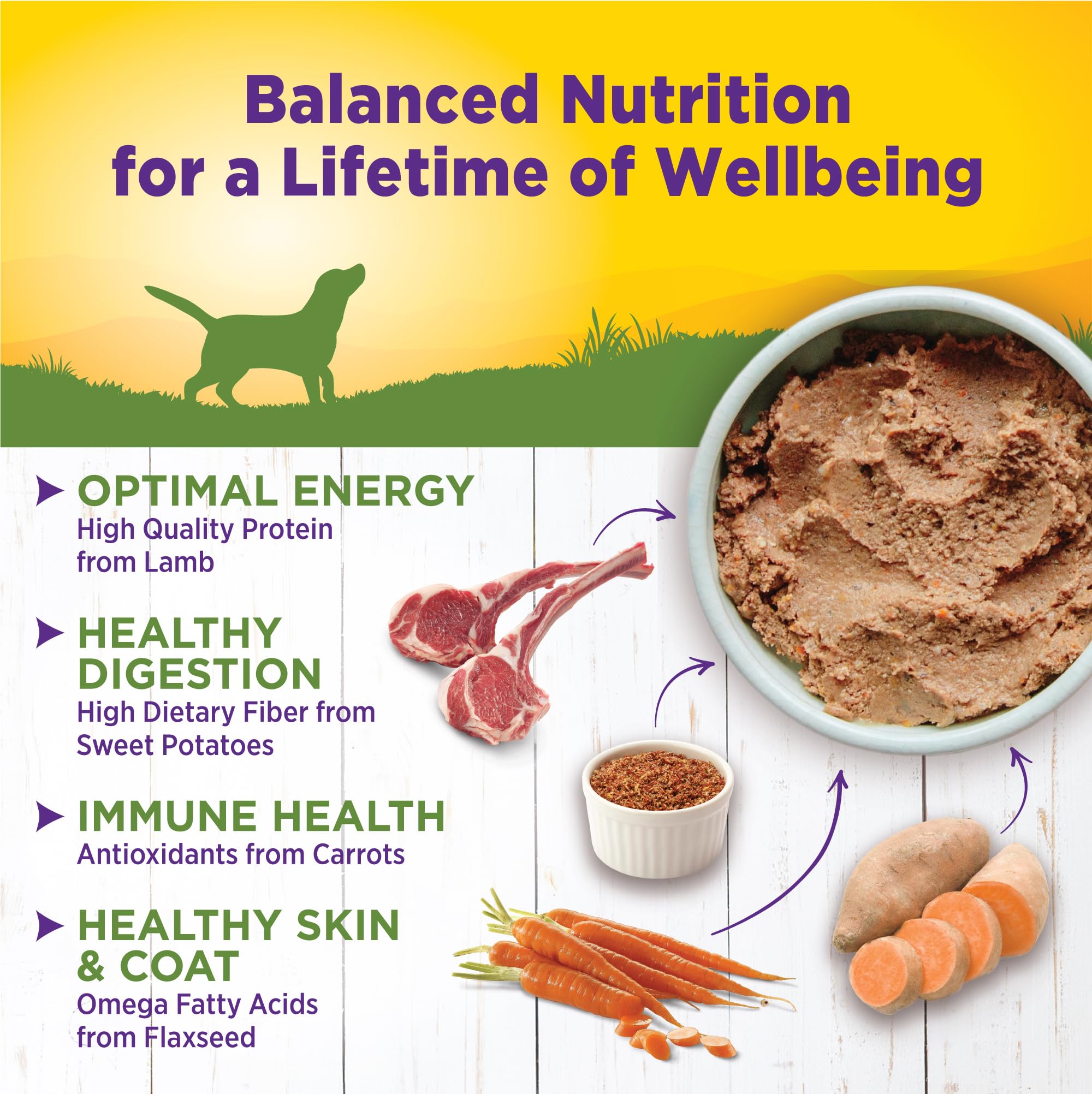 Wellness Natural Lamb and Sweet Potato Canned Dog Food - 12.5 Oz - Case of 12  