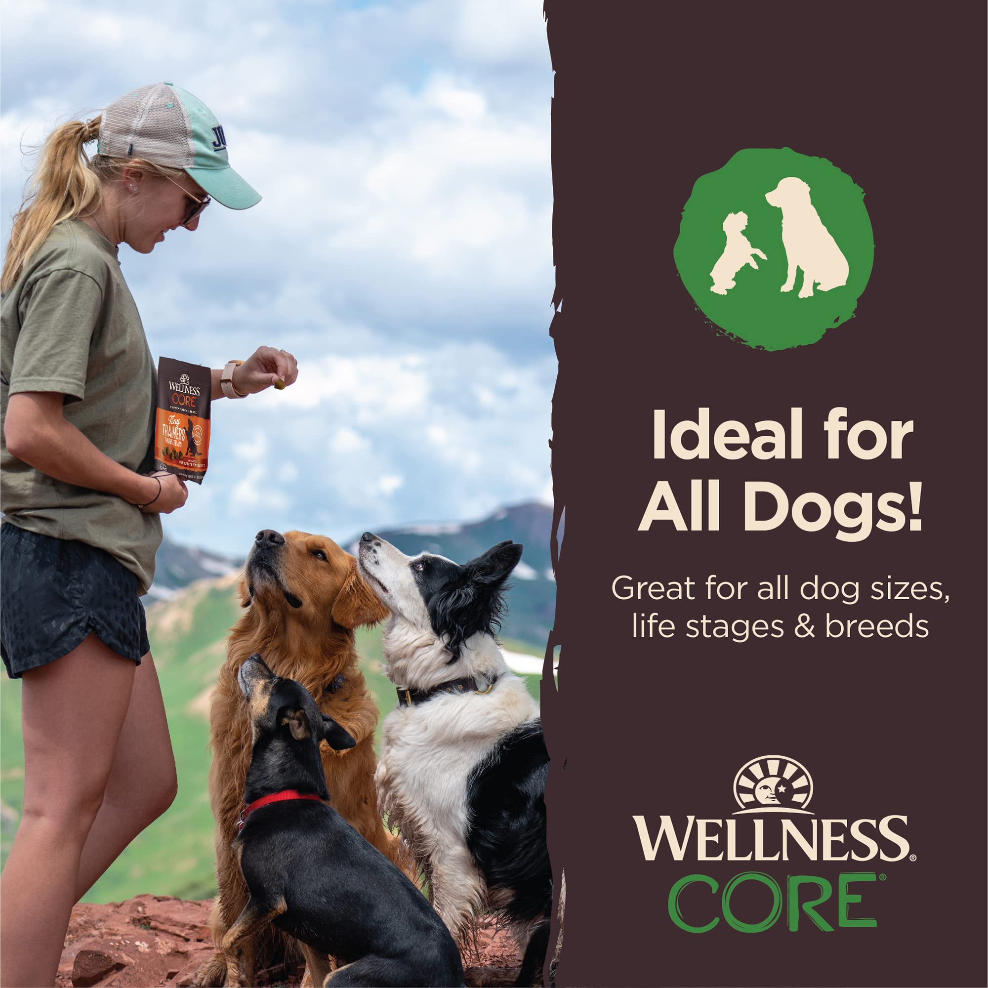 Wellness Core Tiny Trainers Grain-Free Lamb and Apple Soft and Chewy Training Dog Treats - 6 Oz  