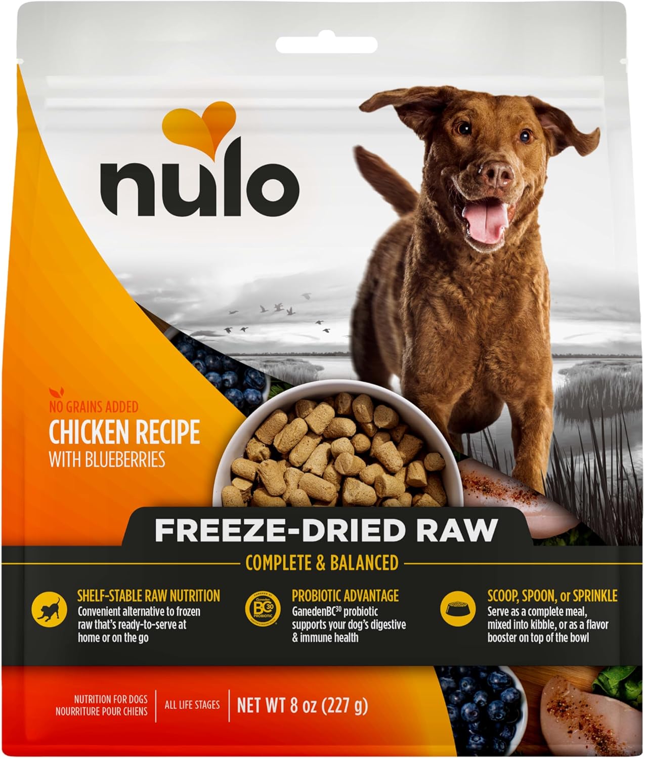 Nulo Grain-Free Freeze-Dried Raw Chicken with Blueberries Complete and Balanced Dry Dog Food 8 Ounce
