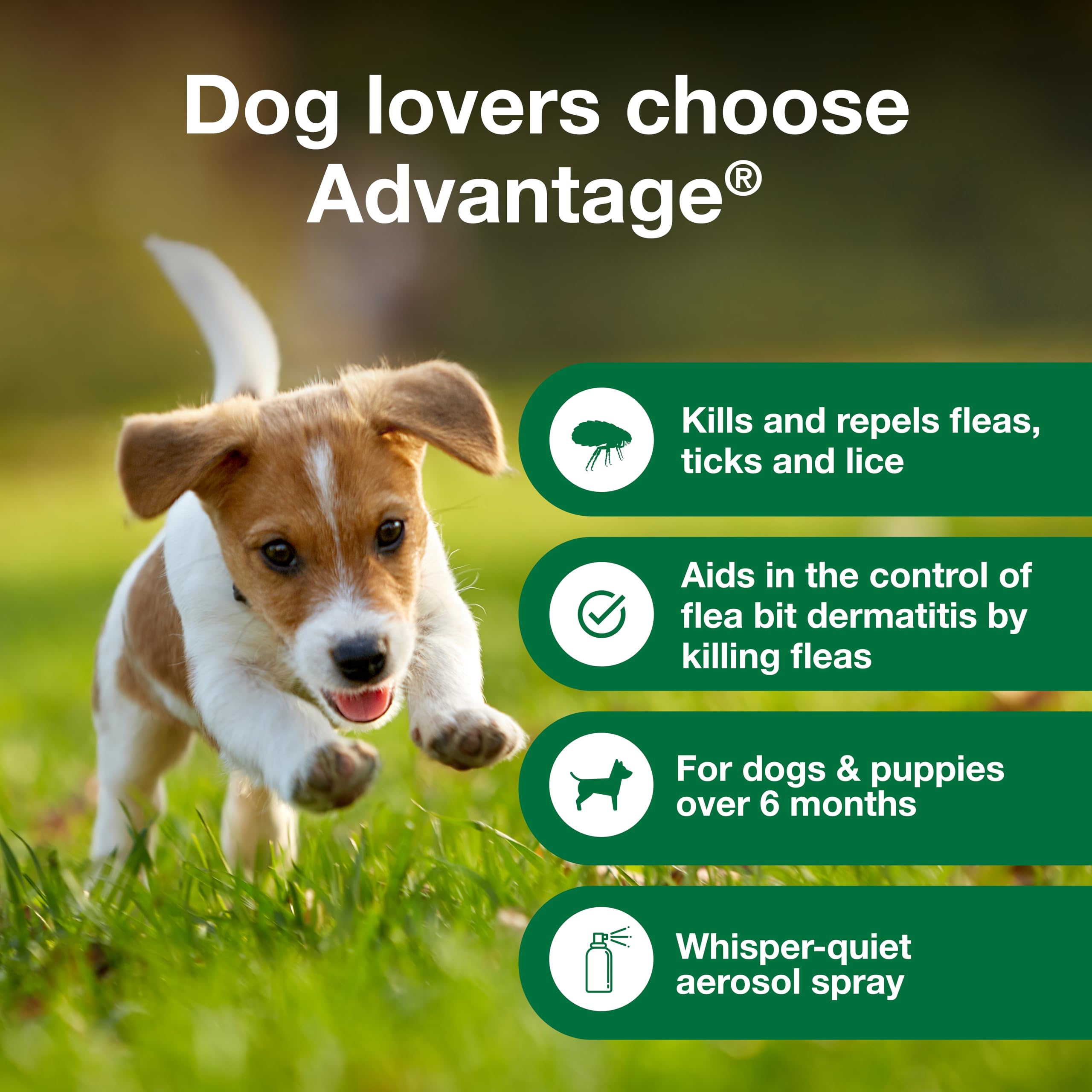 Elanco Advantage Flea and Tick Dog Spray for Adults and Puppies over 6 Months