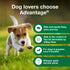 Elanco Advantage Flea and Tick Dog Spray for Adults and Puppies over 6 Months