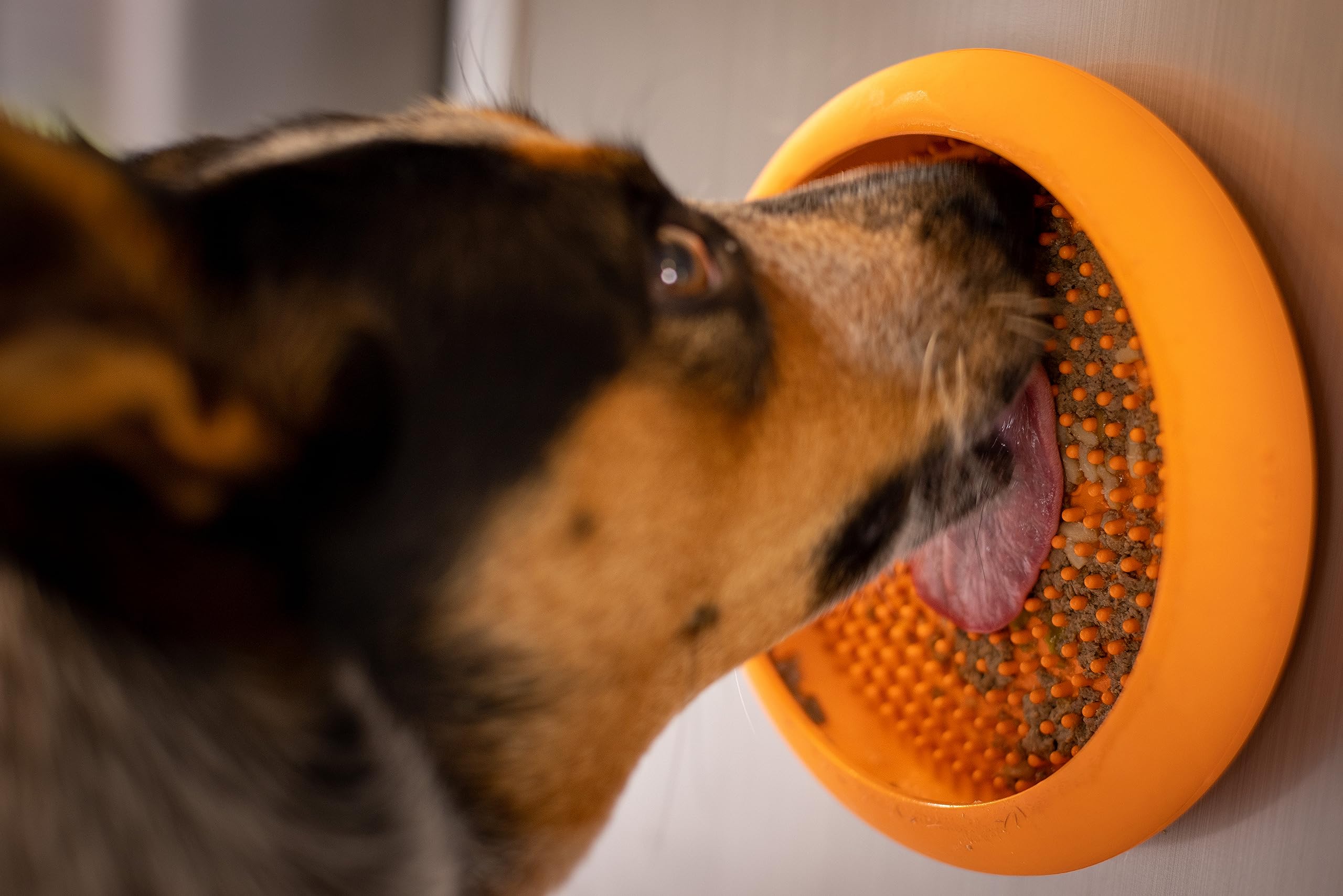 Innovative Pet Lickimat UFO Suction Grip Slow Feeding Rubber Cat and Dog Bowl - Pink  