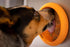 Innovative Pet Lickimat UFO Suction Grip Slow Feeding Rubber Cat and Dog Bowl - Orange  