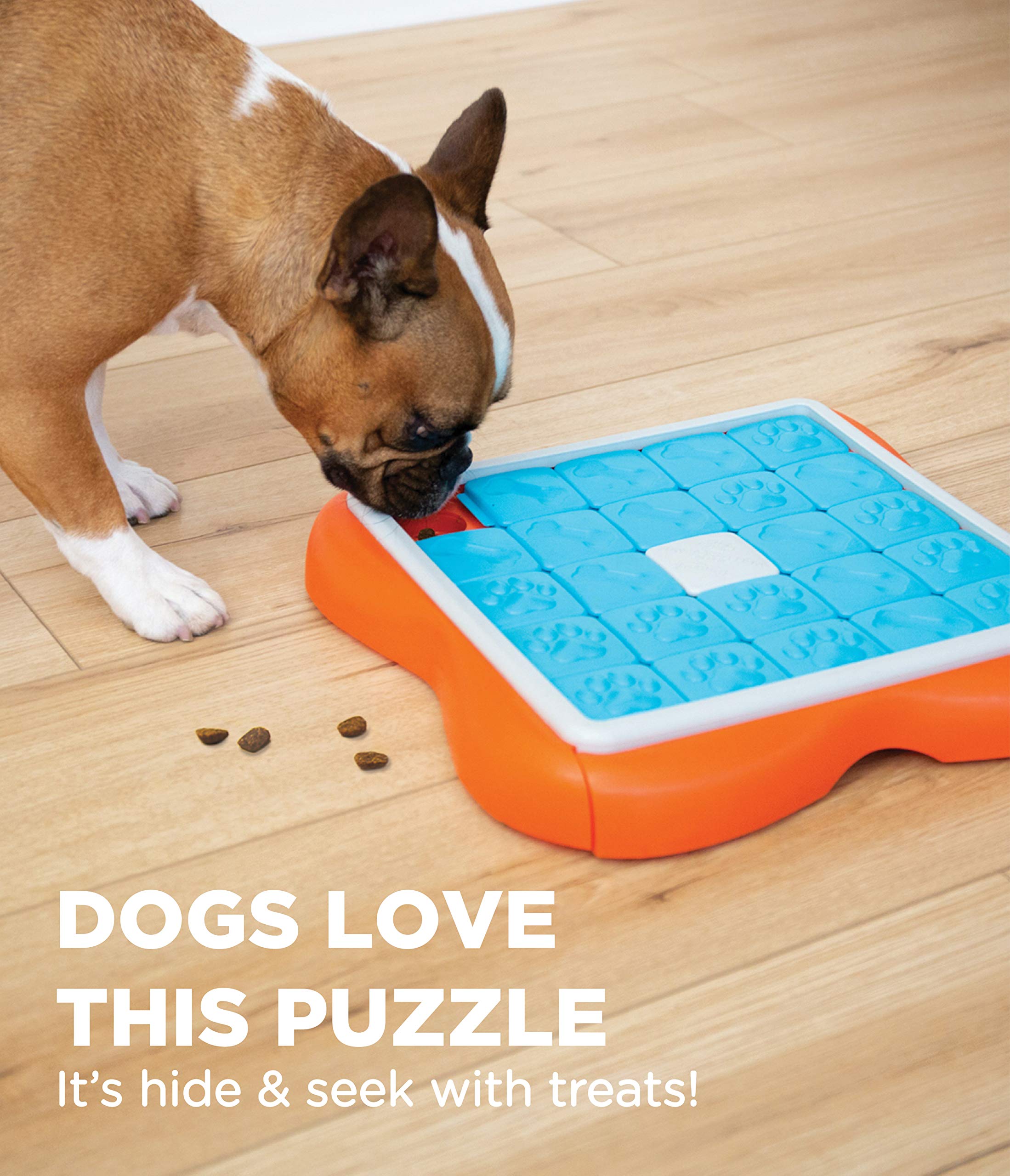 Outward Hound Challenge Slider Treat Rewarding Puzzle Solving Dog Toy and Feeder  