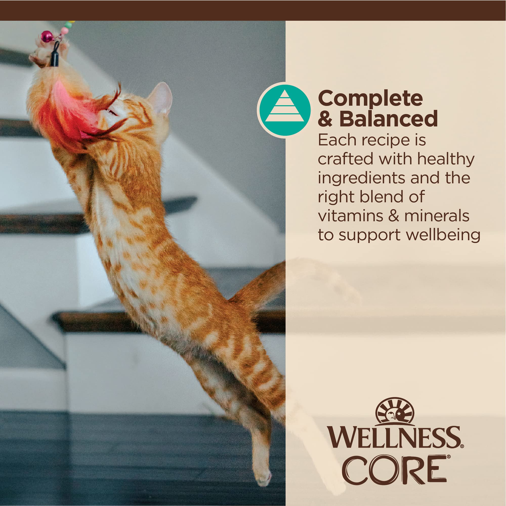 Wellness Core Tiny Tasters Grain-Free Flaked Tuna and Salmon in Broth Wet Cat Food Pouch - 1.75 Oz - Case of 12  