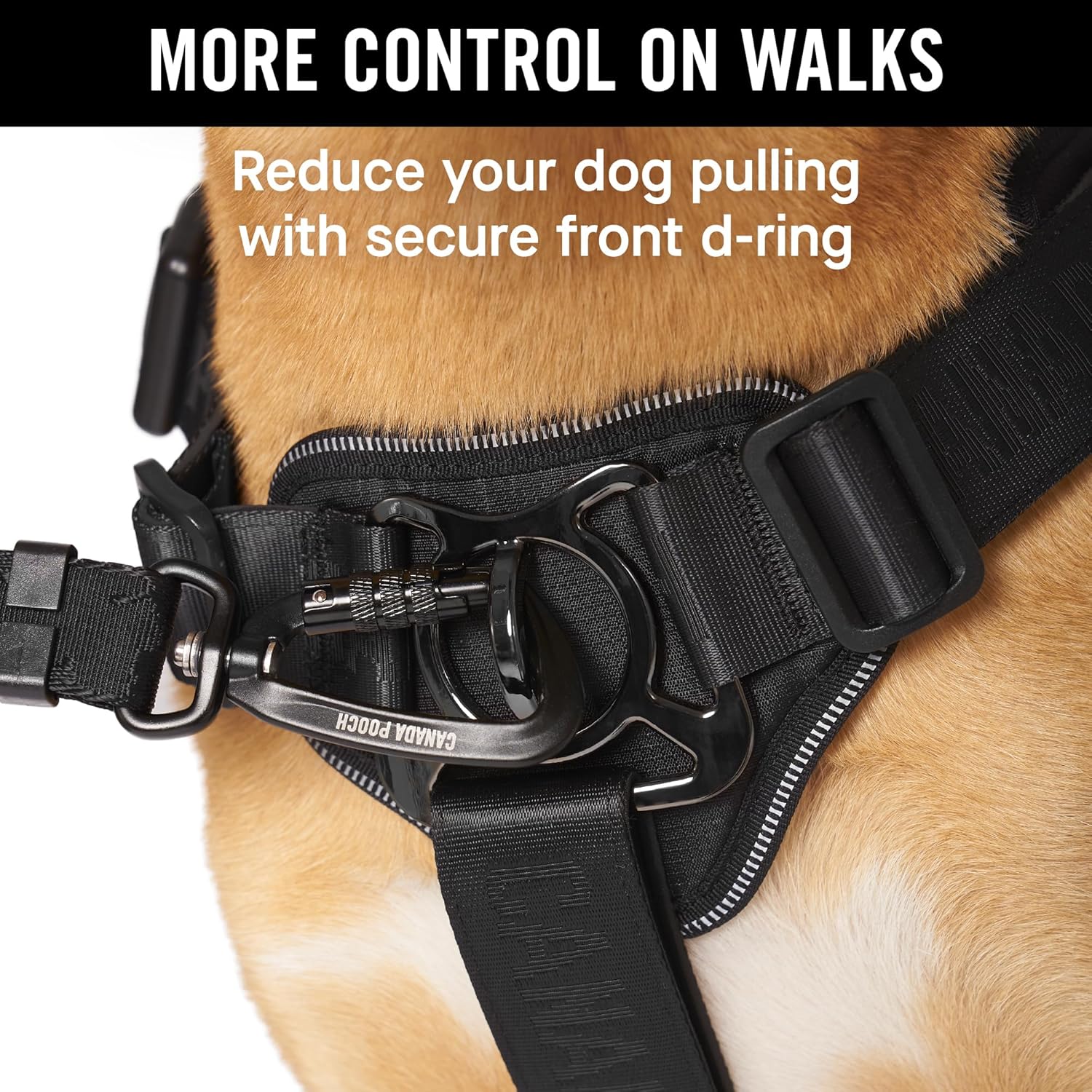 Canada Pooch Core Complete Control Dog Harness and Leash - Black