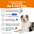 Zesty Paws Vet-Strength Mobility Bites Hip and Joint Beef and Bacon Flavor Soft Chew Dog Supplements - 90 Count  