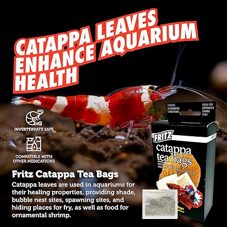 Fritz Aquatics Cattapa Leaf Tea Bags Natural Health for Freshwater and Saltwater Conditions - 10 Count