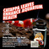 Fritz Aquatics Cattapa Leaf Tea Bags Natural Health for Freshwater and Saltwater Conditions - 10 Count