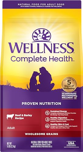 Wellness Complete Health Wholesome Grains Beef and Barley Recipe Adult Dry Dog Food - 5 Lbs Default Title
