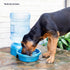 Petmate Big Blue Outdoor Cat and Dog Water Bowl - Holds 115 Ounces Water - Fits 5 Gallon Water Jug