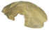 Exo Terra Reptile Cave Terrarium Décor Ornament - Medium
