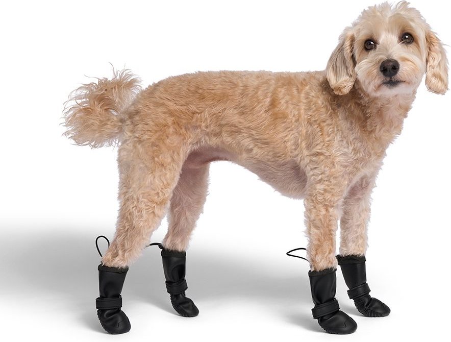 Canada Pooch Soft Shield Dog Boots