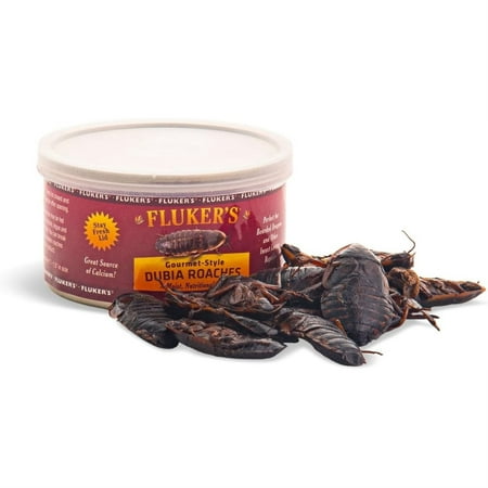 Fluker's Gourmet Style Canned Dubia Roaches for Small Reptiles - 1.2 Oz