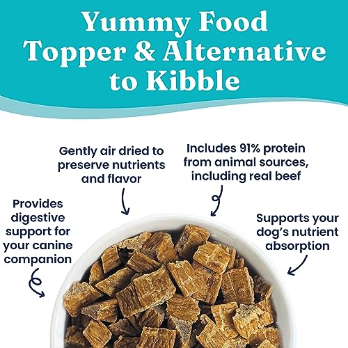 Solid Gold NutrientBoost Beef and Superfood Gently Air-Dried Dog Food Topper or Treat - 4 Oz