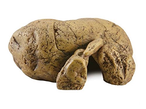 Exo Terra Reptile Cave Terrarium Décor Ornament - Small
