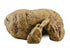 Exo Terra Reptile Cave Terrarium Décor Ornament - Small