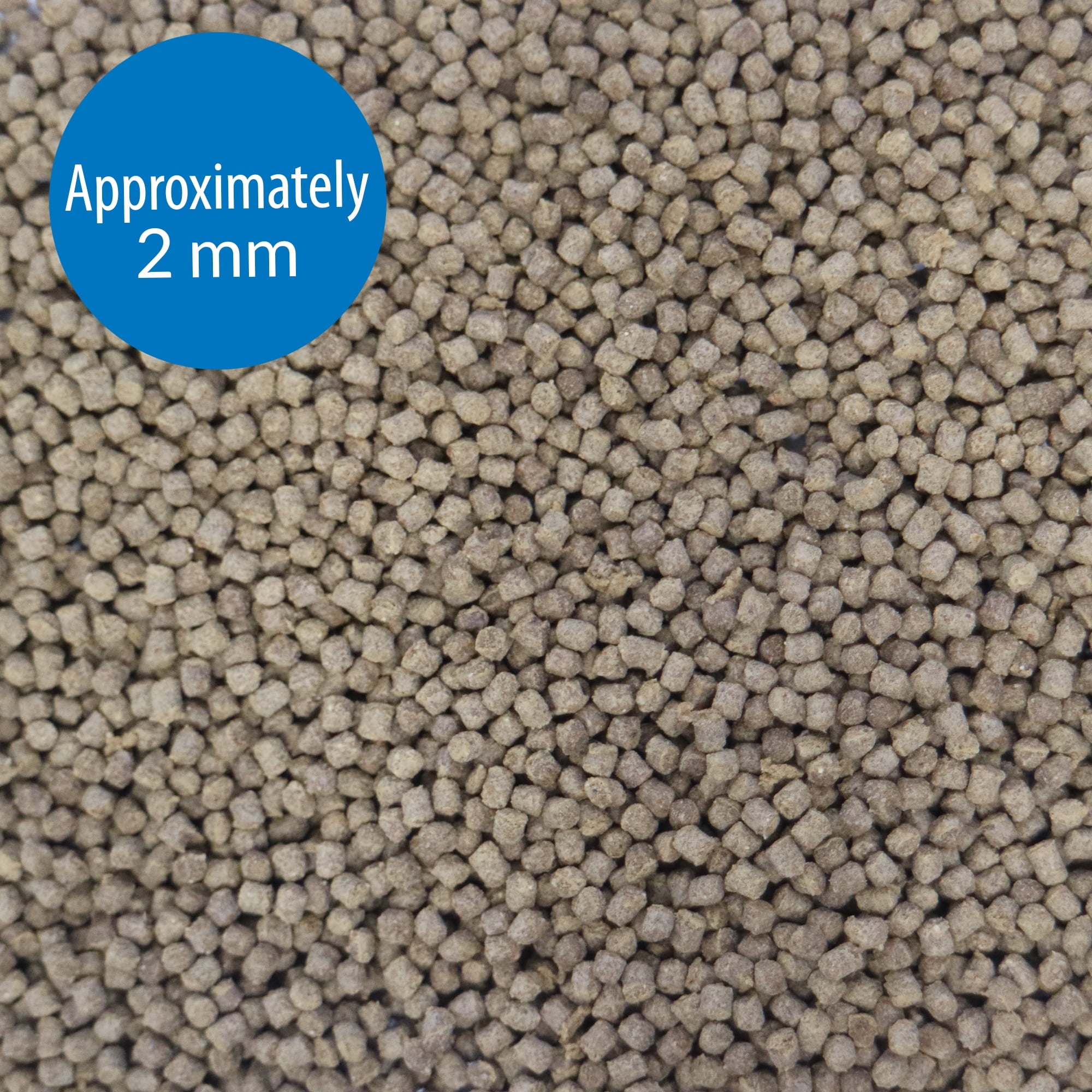 API Goldfish Pellets Freshwater Fish Food