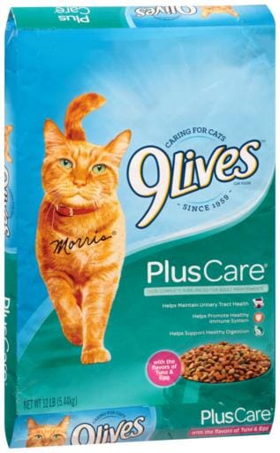 9 Lives Plus Care Formula Dry Cat Food  