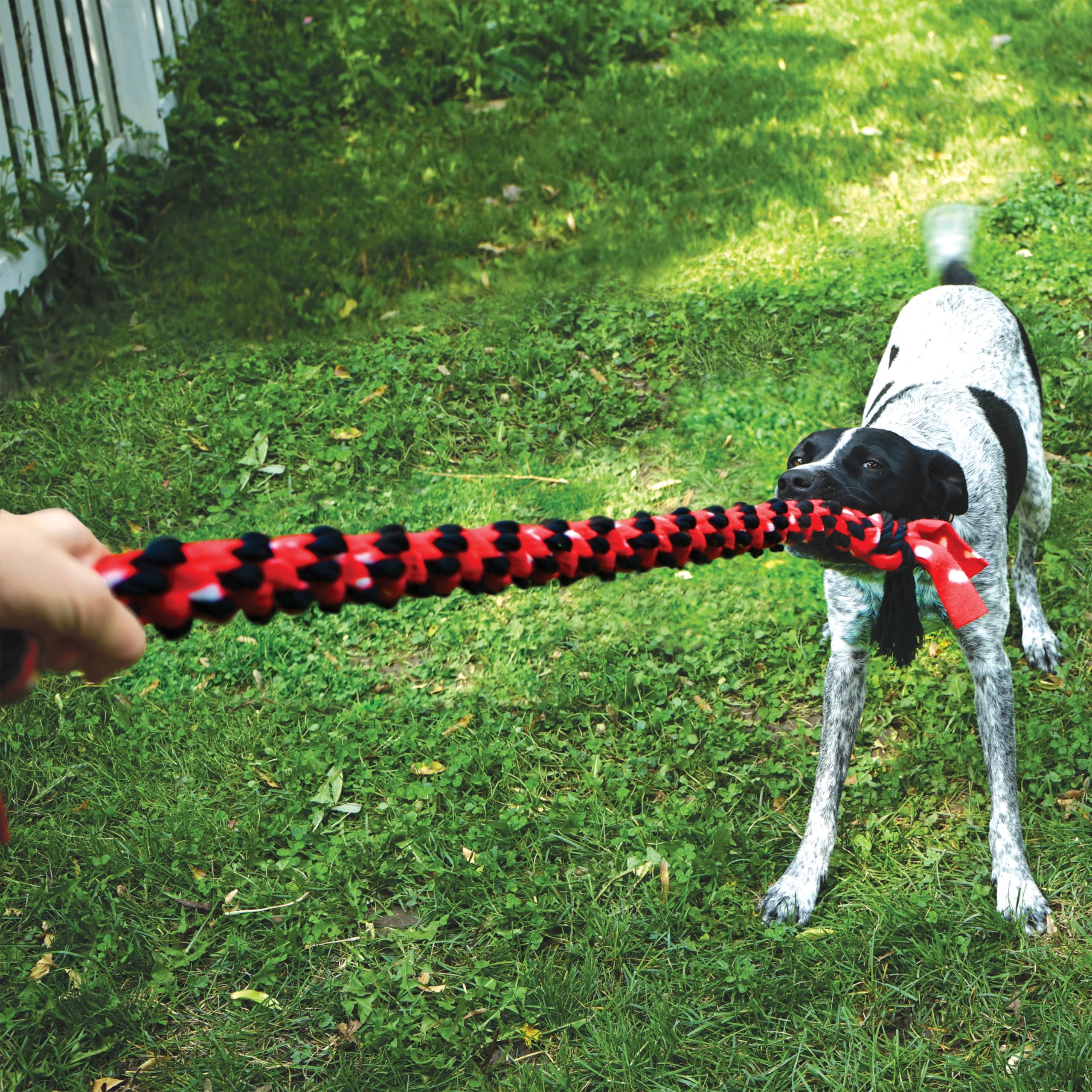 Kong Signature Double Tug Rope Dog Toy - 22