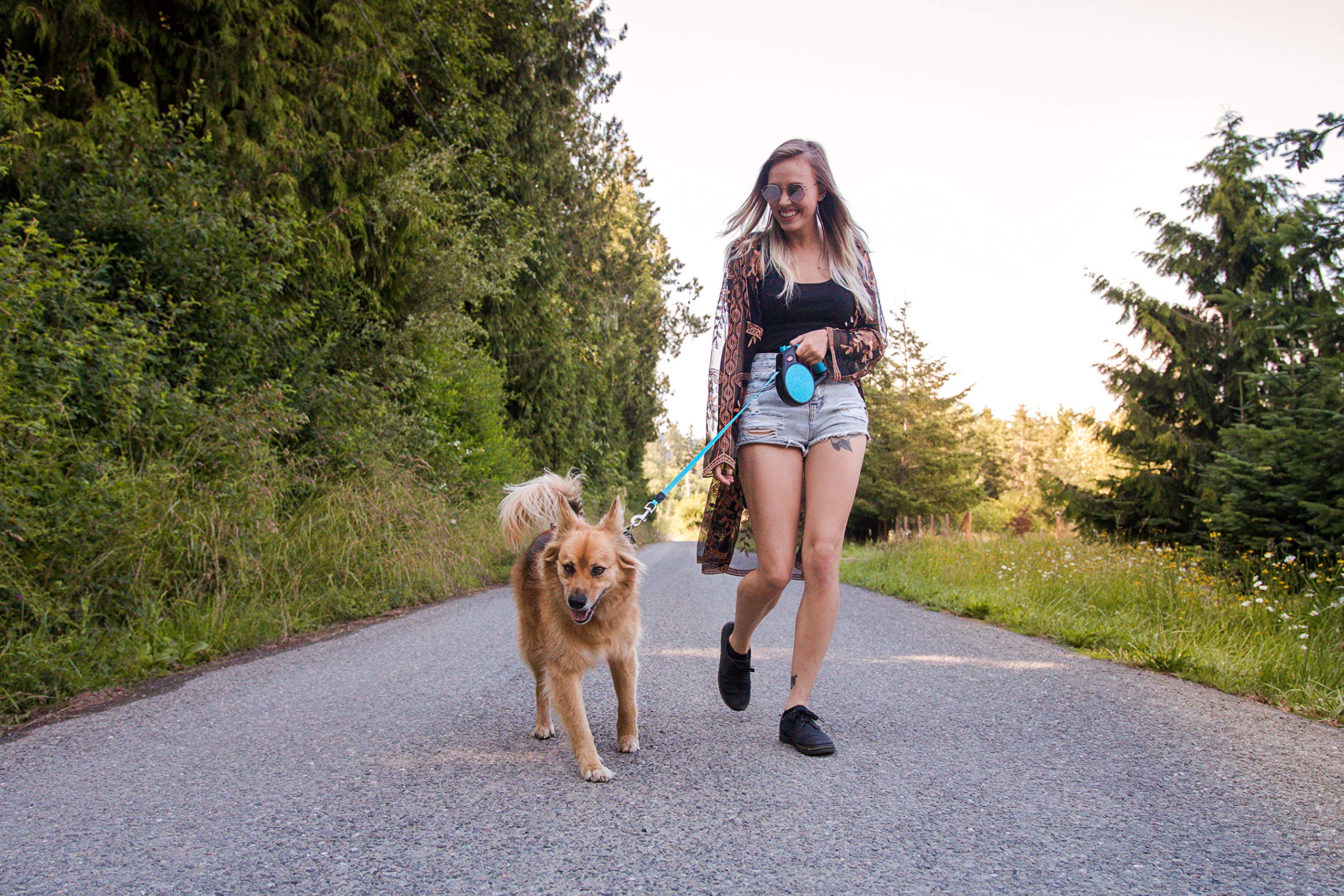 Wigzi Gel Handle Gripped Tape Retractable Nylon Dog Leash - Blue - Medium - Up to 16 Feet  
