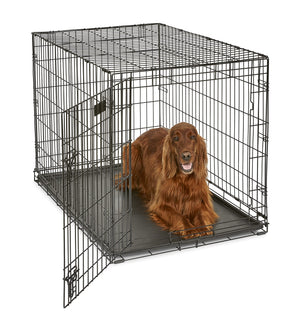 Midwest I-Crate Single Door Metal Folding Dog Crate with Divider Panel - 42" X 28" X 30...