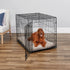 Midwest I-Crate Single Door Metal Folding Dog Crate with Divider Panel - 42" X 28" X 30" Inches  