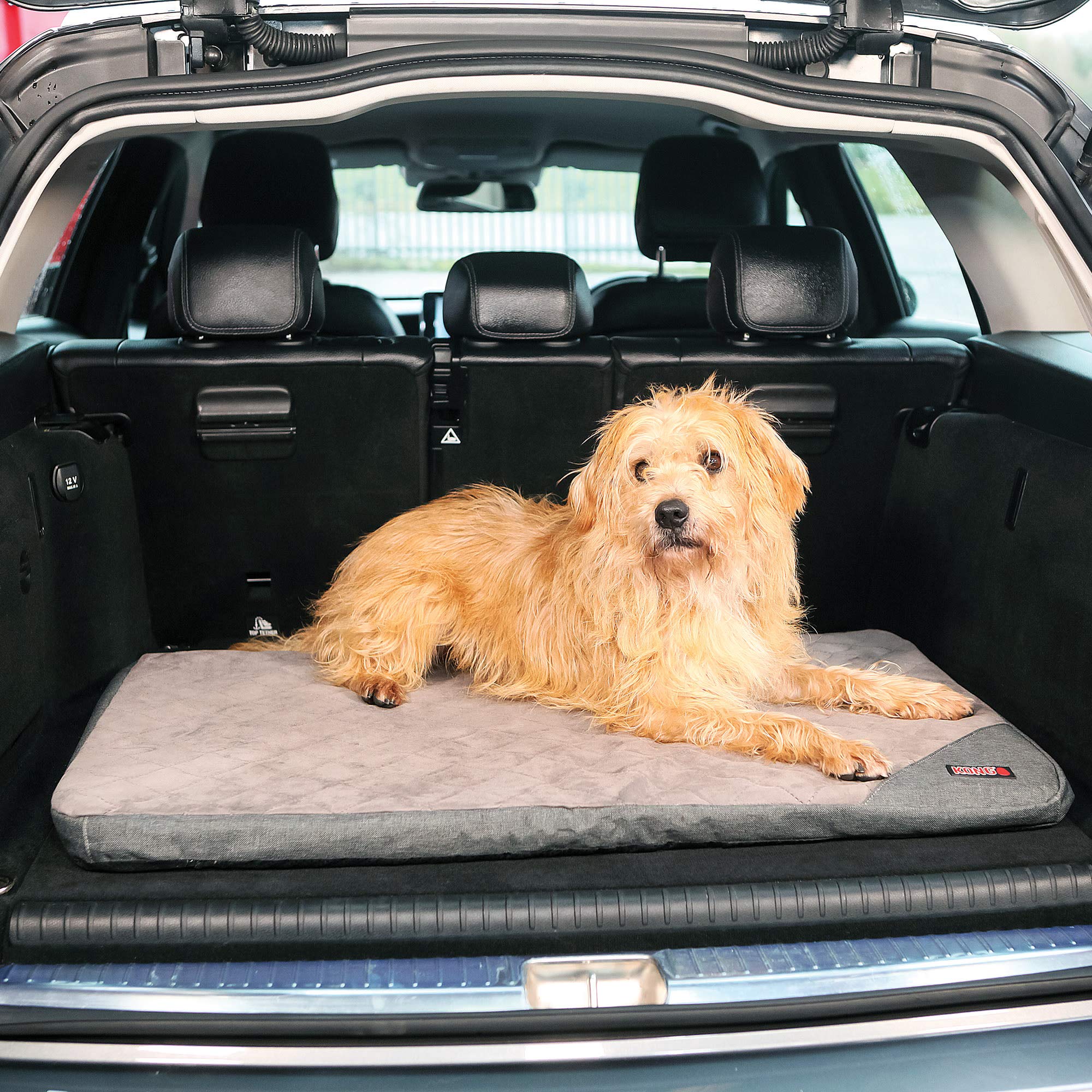 Kong Fold Up Travel Pet Mat  