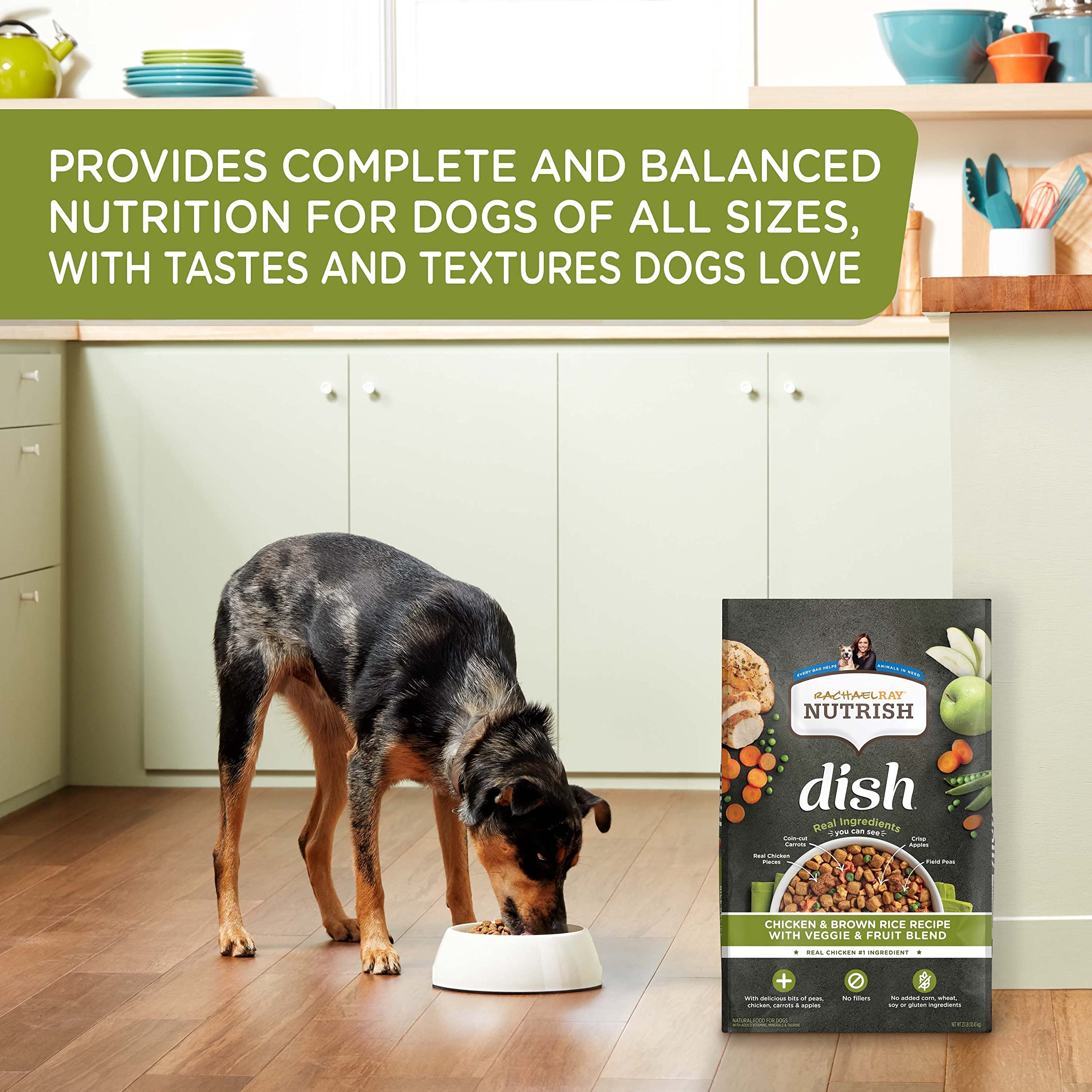 Rachael Ray Nutrish Dish Chicken and Brown Rice Recipe with Veggies and Fruits Recipe Dry Dog Food - 11.5 Lbs  