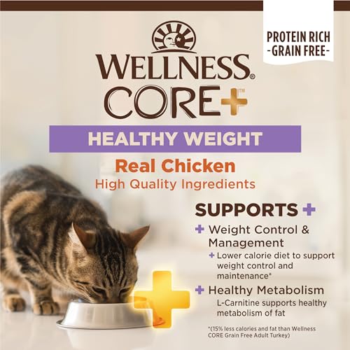 Wellness CORE+ Digestive Health Wholesome Grains Chicken and Rice Adult Dry Cat Food - 4.75 Lbs