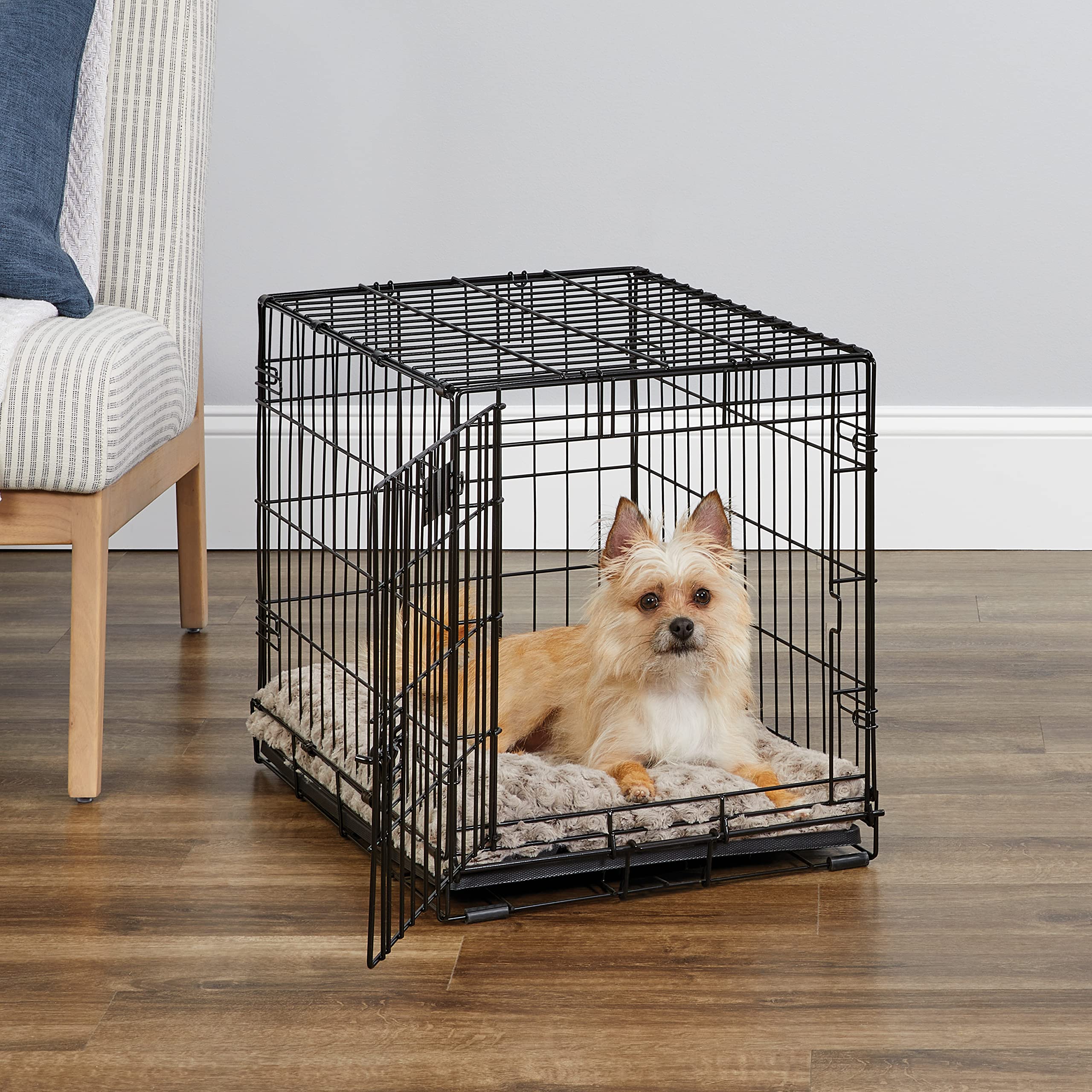 Midwest I-Crate Single Door Metal Folding Dog Crate with Divider Panel - 24