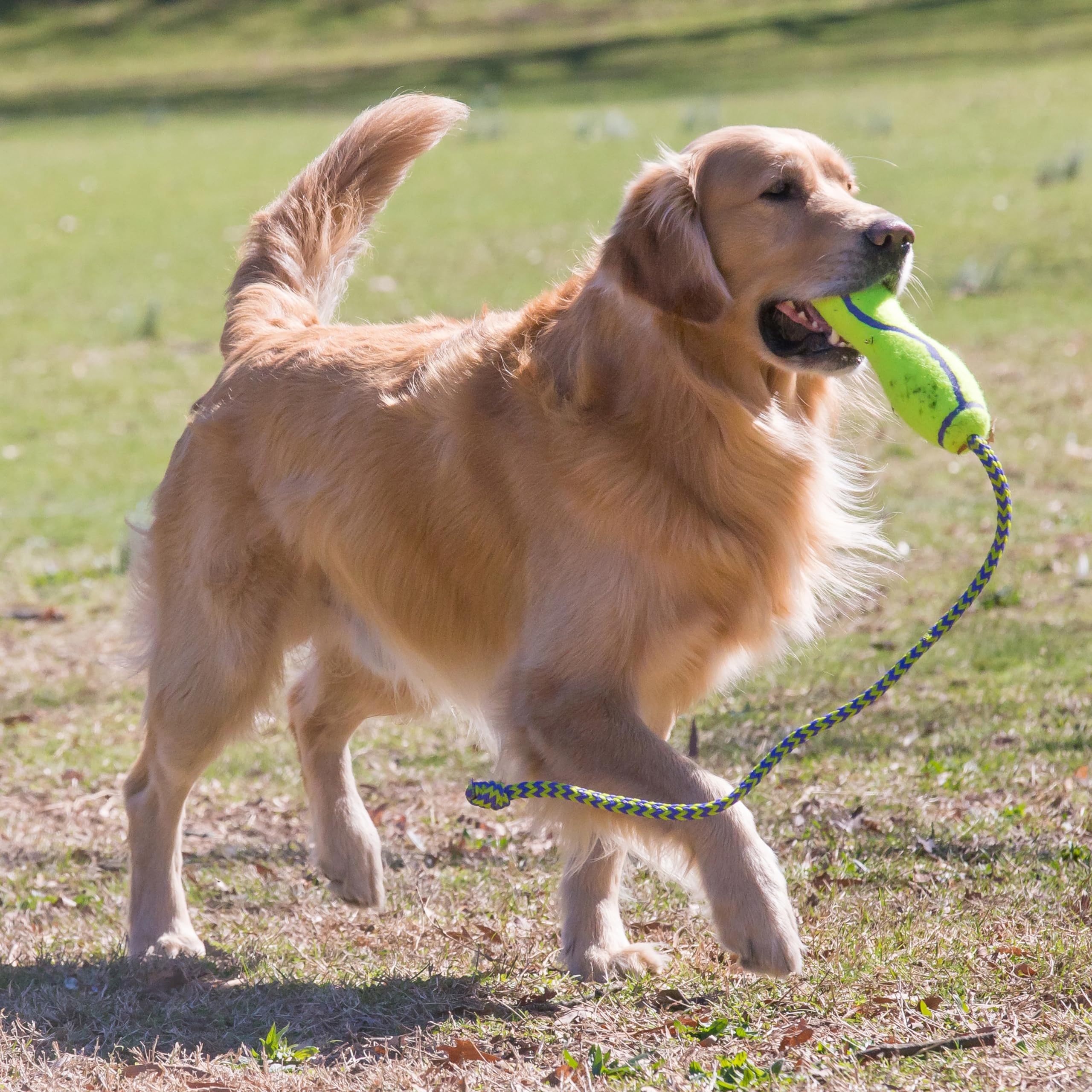 Kong AirDog Fetch Stick Felt and Rope Floating Dog Toy - Large  