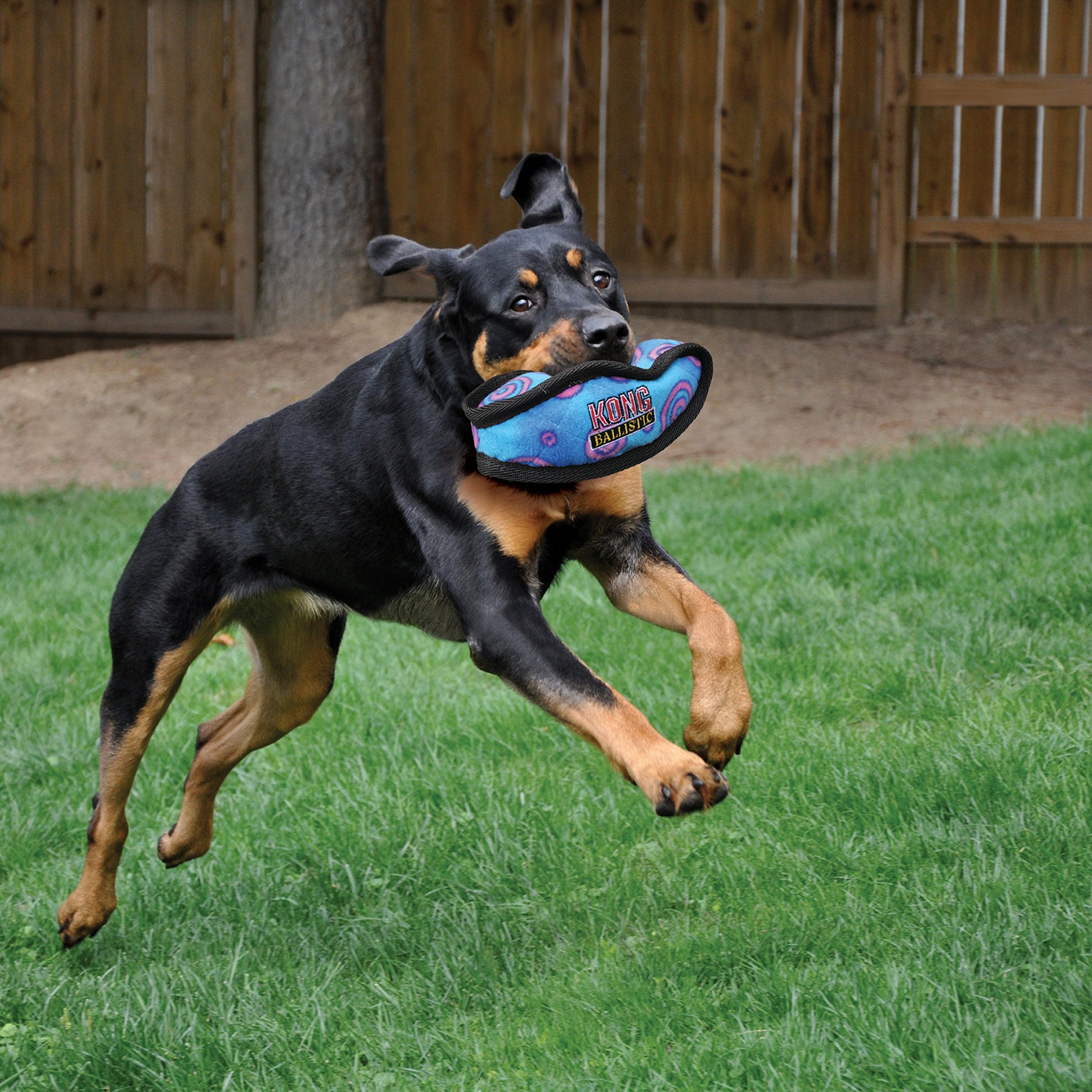 Kong Football Ballistic Nylon and Plush Squeak and Floating Dog Toy - Large  