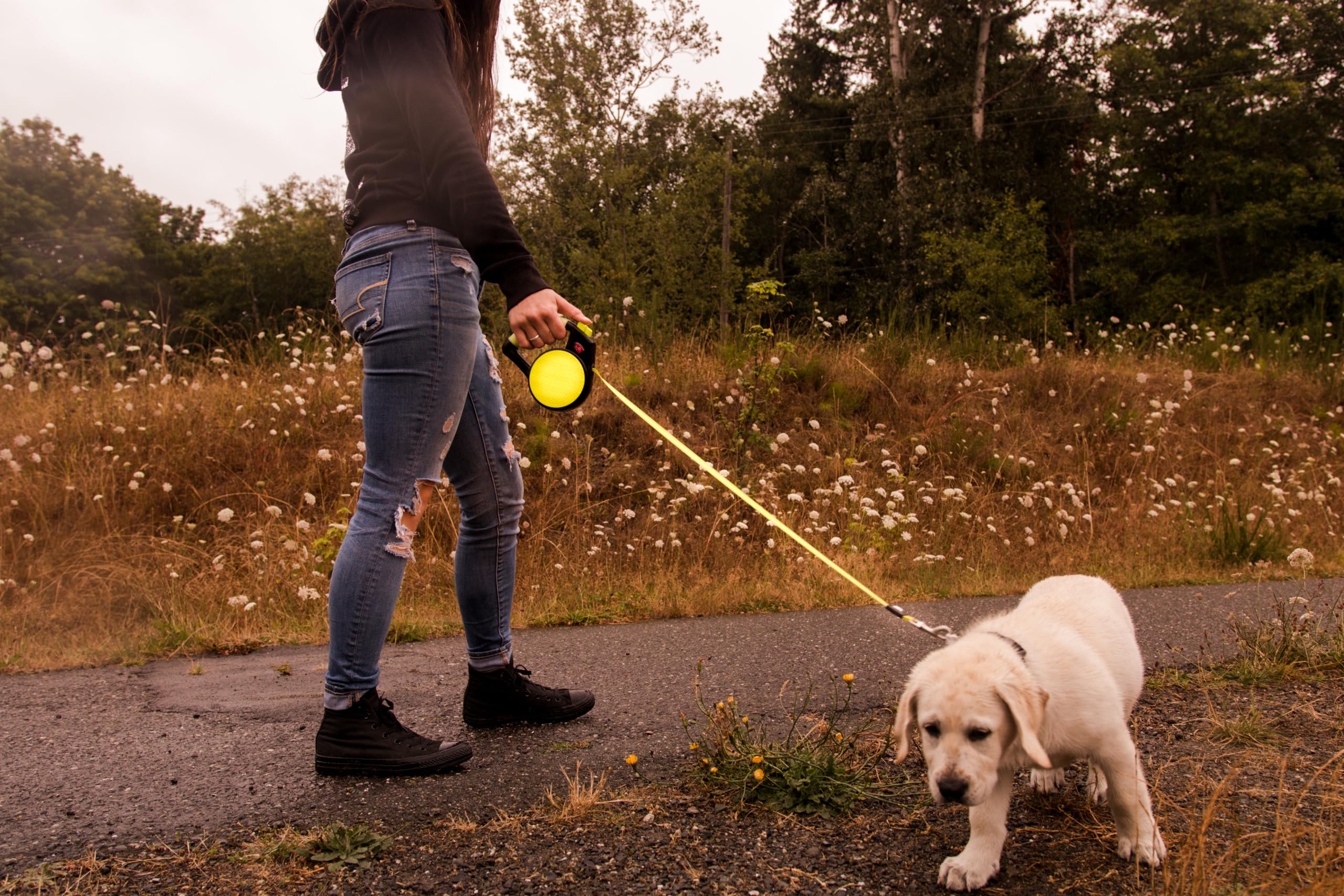 Wigzi Gel Handle Gripped Tape Retractable Nylon Dog Leash - Yellow - Medium - Up to 16 Feet  