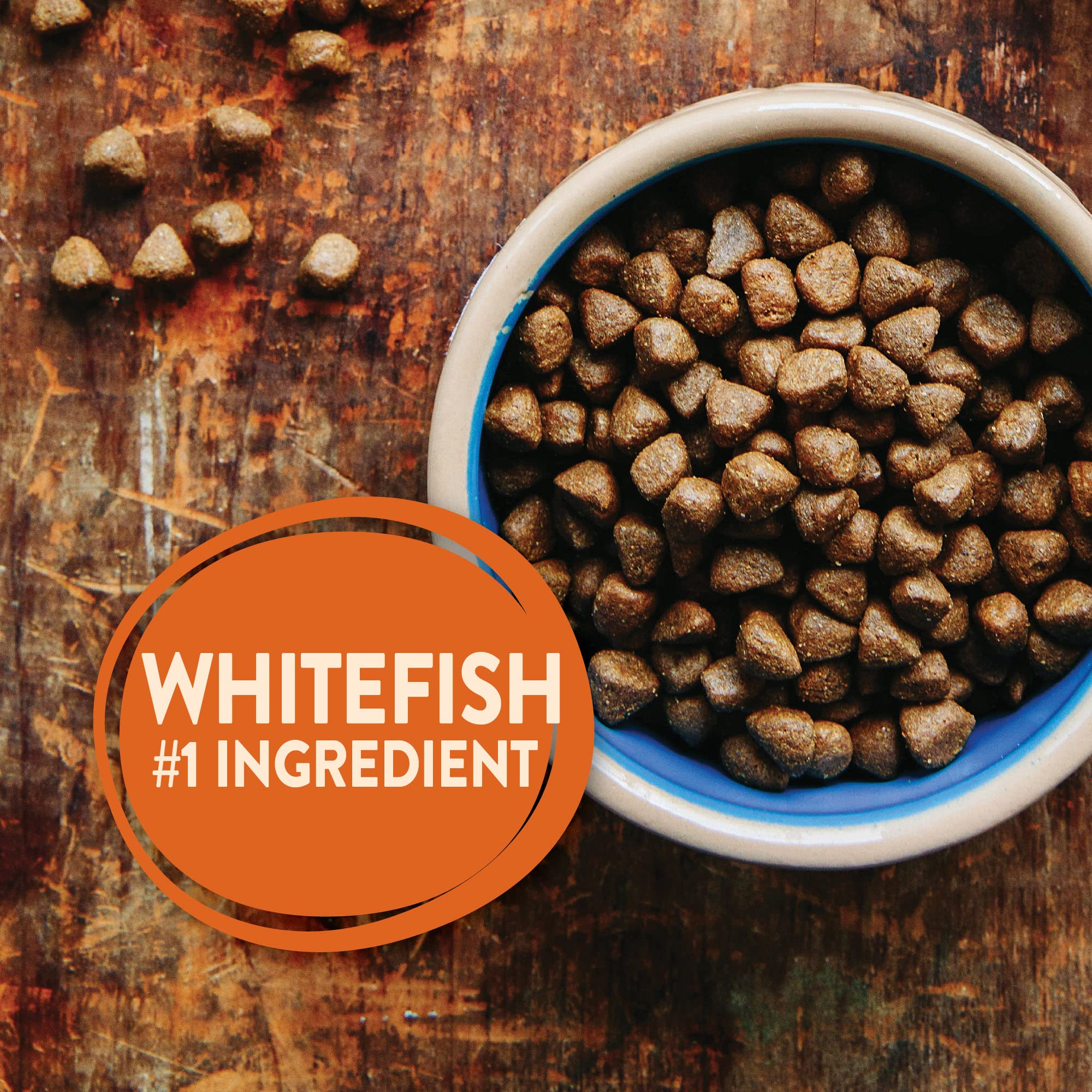 Wellness Core Oceans Recipe Whitefish Herring and Menhaden with Wholesome Grains Adult Dry Dog Food - 4 Lbs  