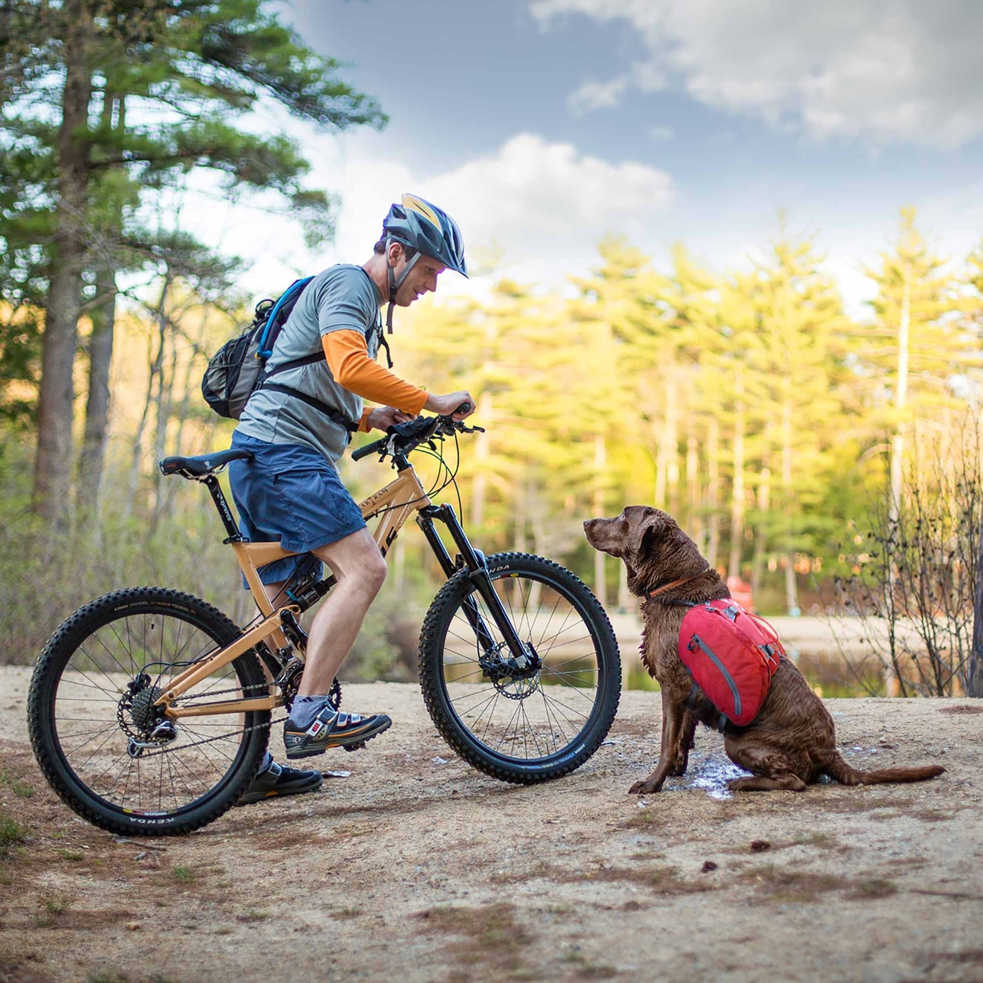 Kurgo Baxter Hiking Reflective Dog Backpack and Harness