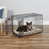 Midwest Lifestages Metal Folding Single Door Dog Crate with Divider - 30" X 21" X 24" Inches  