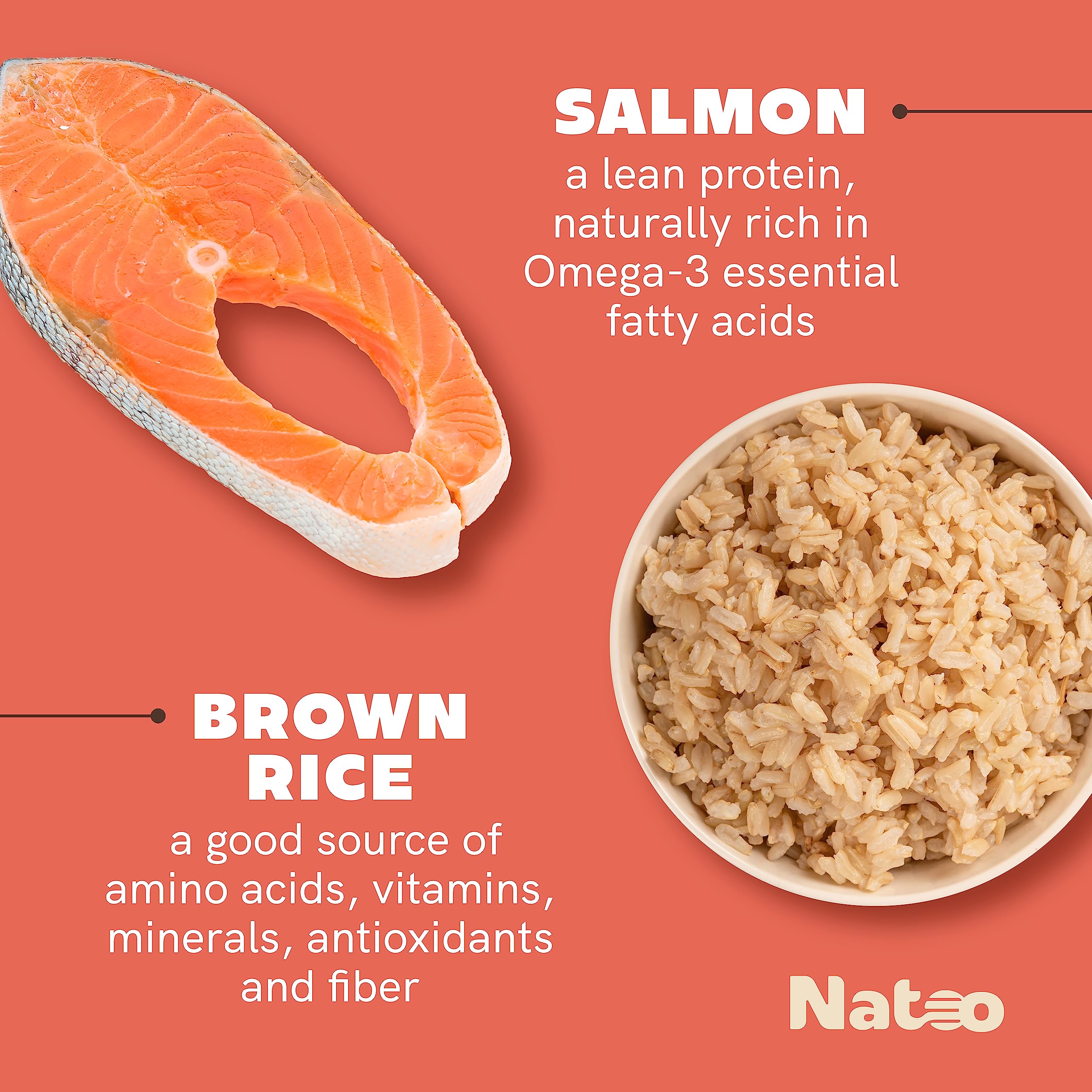 Natoo Limited Ingredient Diet Salmon and Brown Rice Dog Food Toppers - 3 Oz - Case of 20  