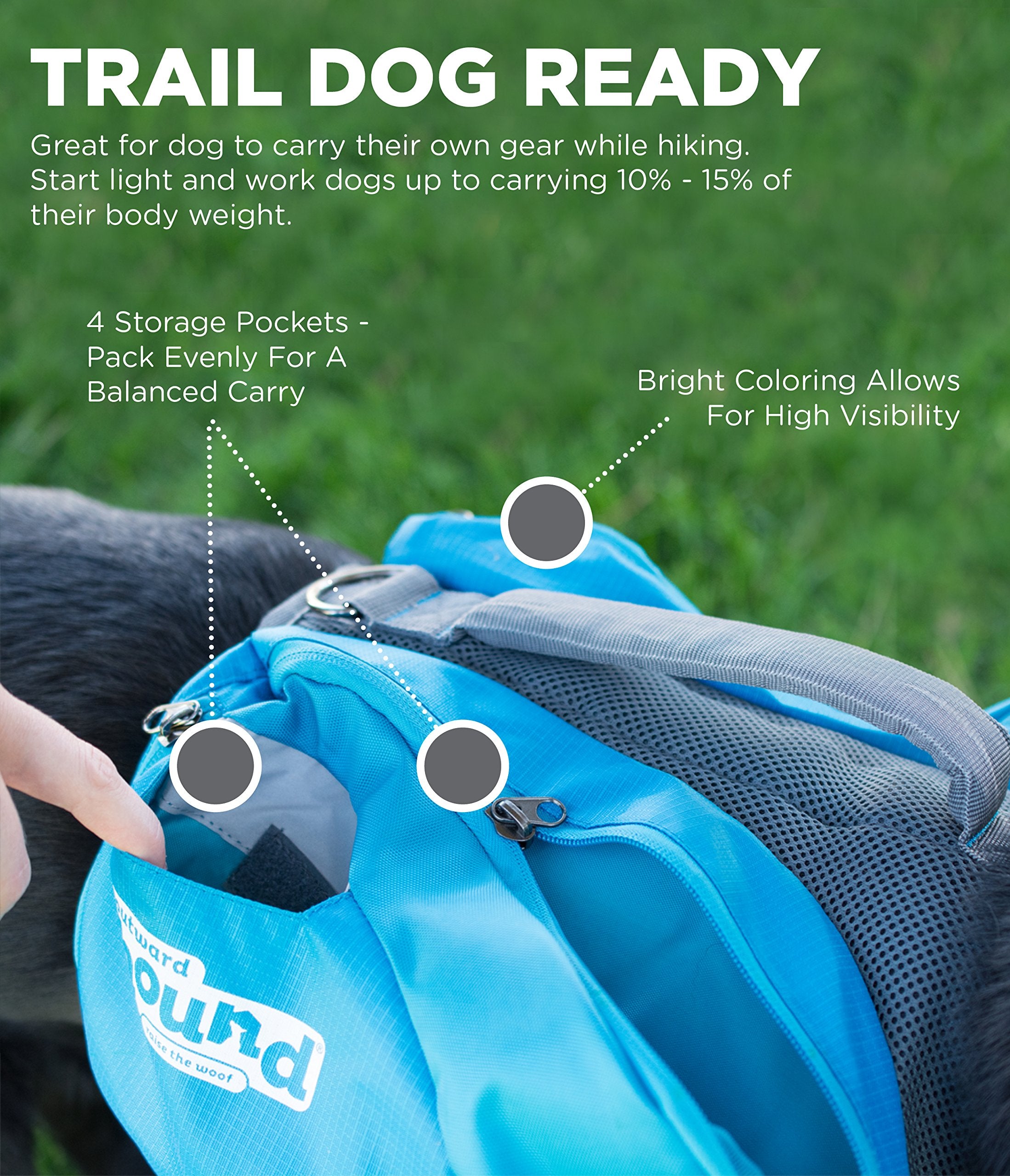 Outward Hound Kyjen DayPak Backpack Travel Dog Backpack and Harness - Green - Medium  