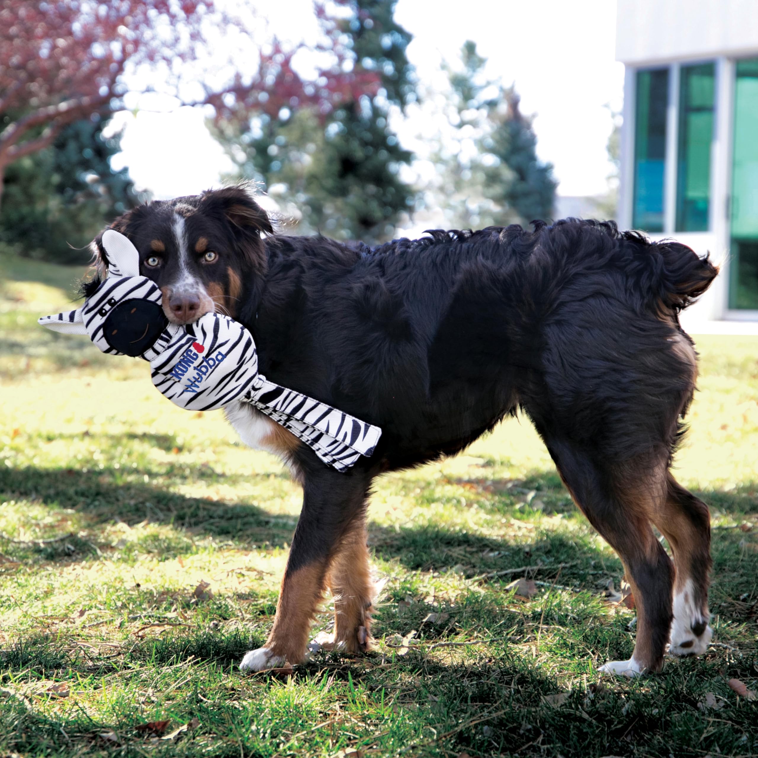 Kong Wubba Zebra No Stuffing Squeak and Fetch Nylon Dog Toy - Large  