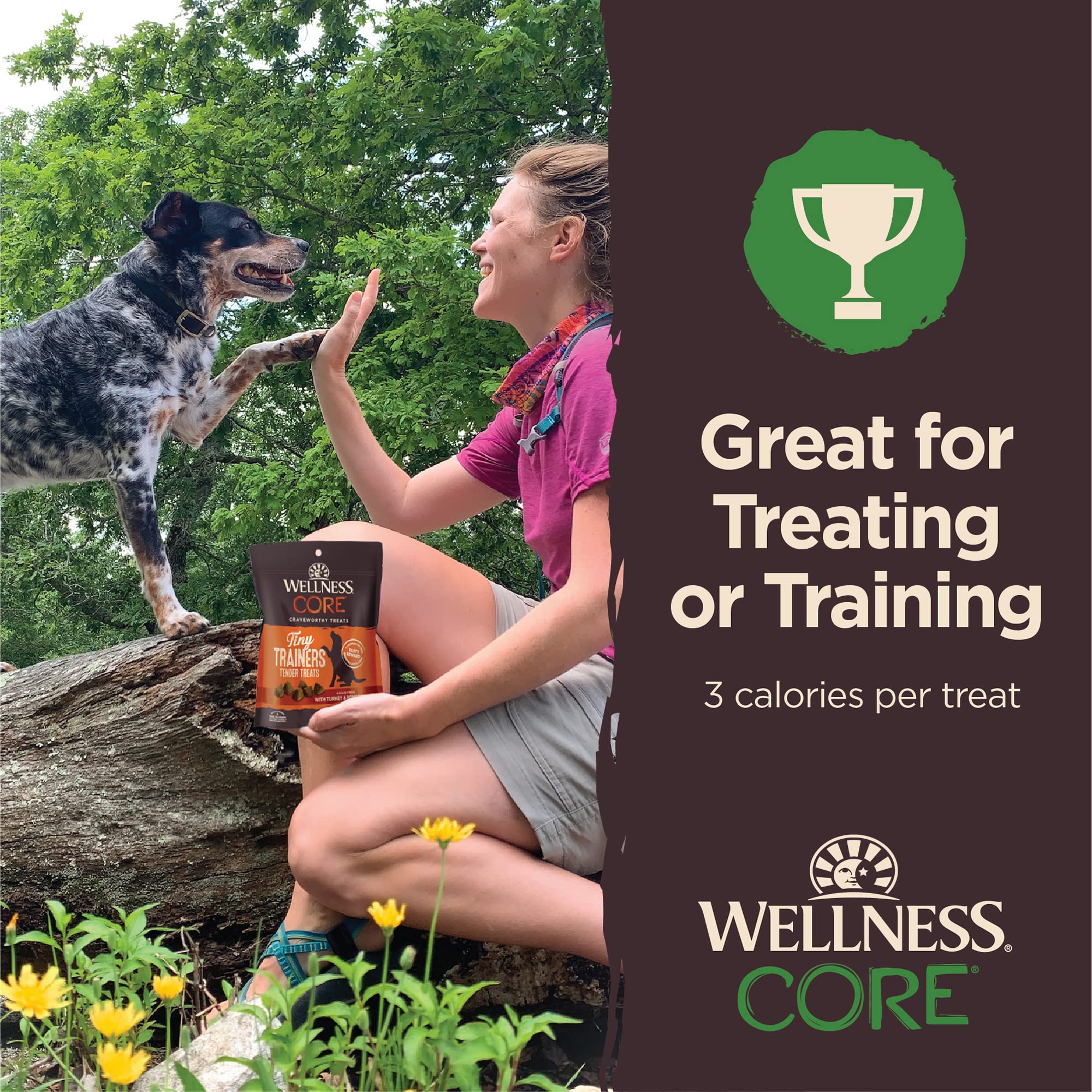 Wellness Core Tiny Trainers Grain-Free Lamb and Apple Soft and Chewy Training Dog Treats - 6 Oz  