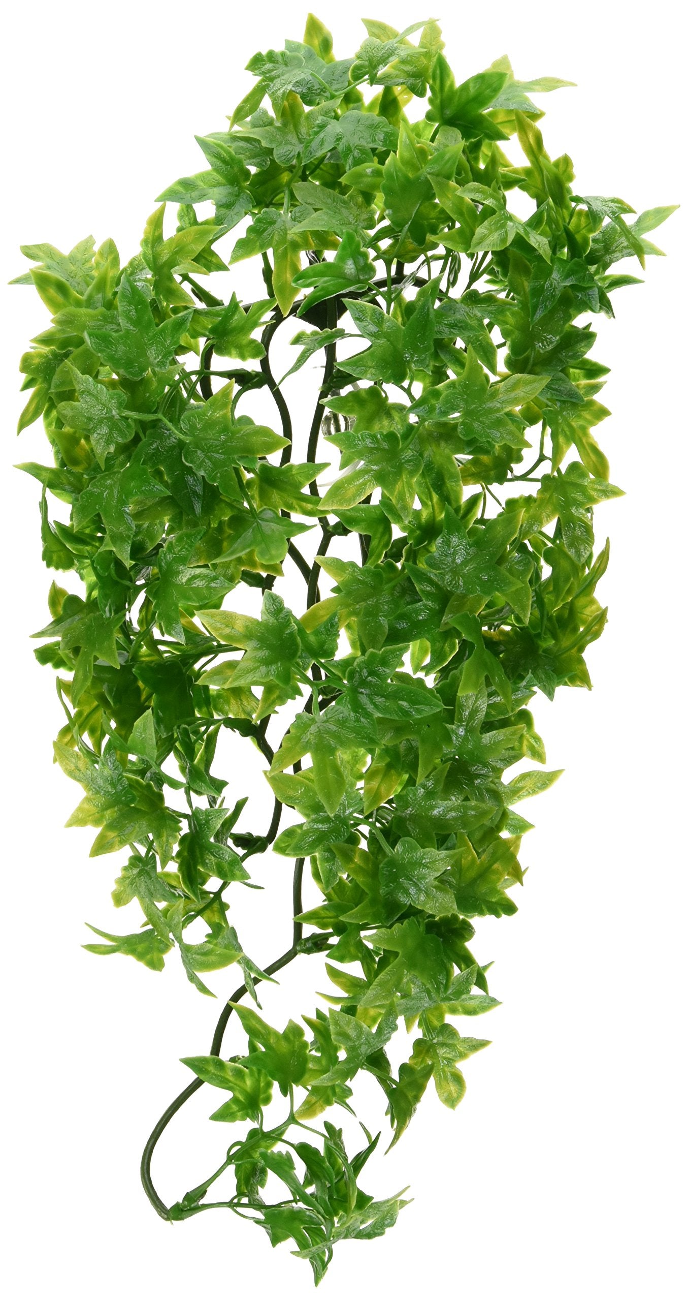 Zoo Med Laboratories Natural Bush Congo Ivy Plastic Plant Aquarium and Terrarium Décor - Medium  