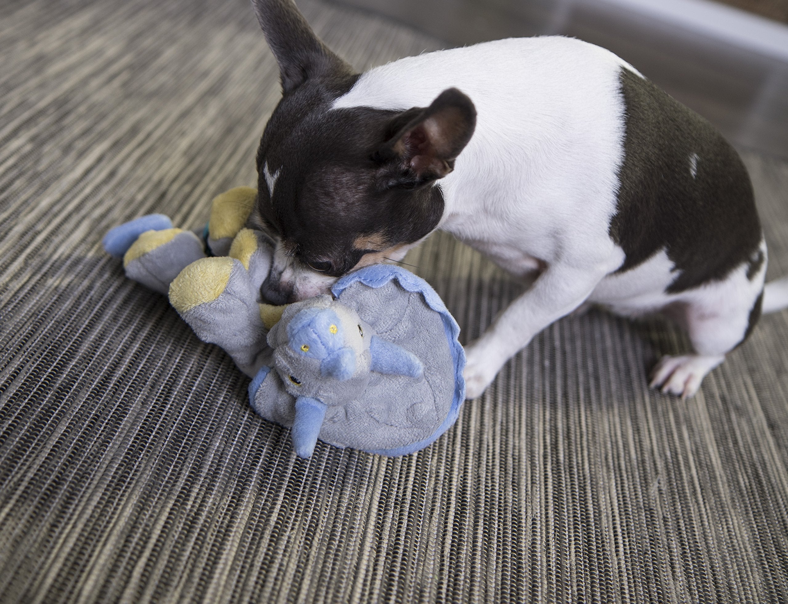 GoDog Squeaky Dino Frillz with Treceratops Squeak and Plush Dog Toy with Chew-Guard Tech - Red - Large  