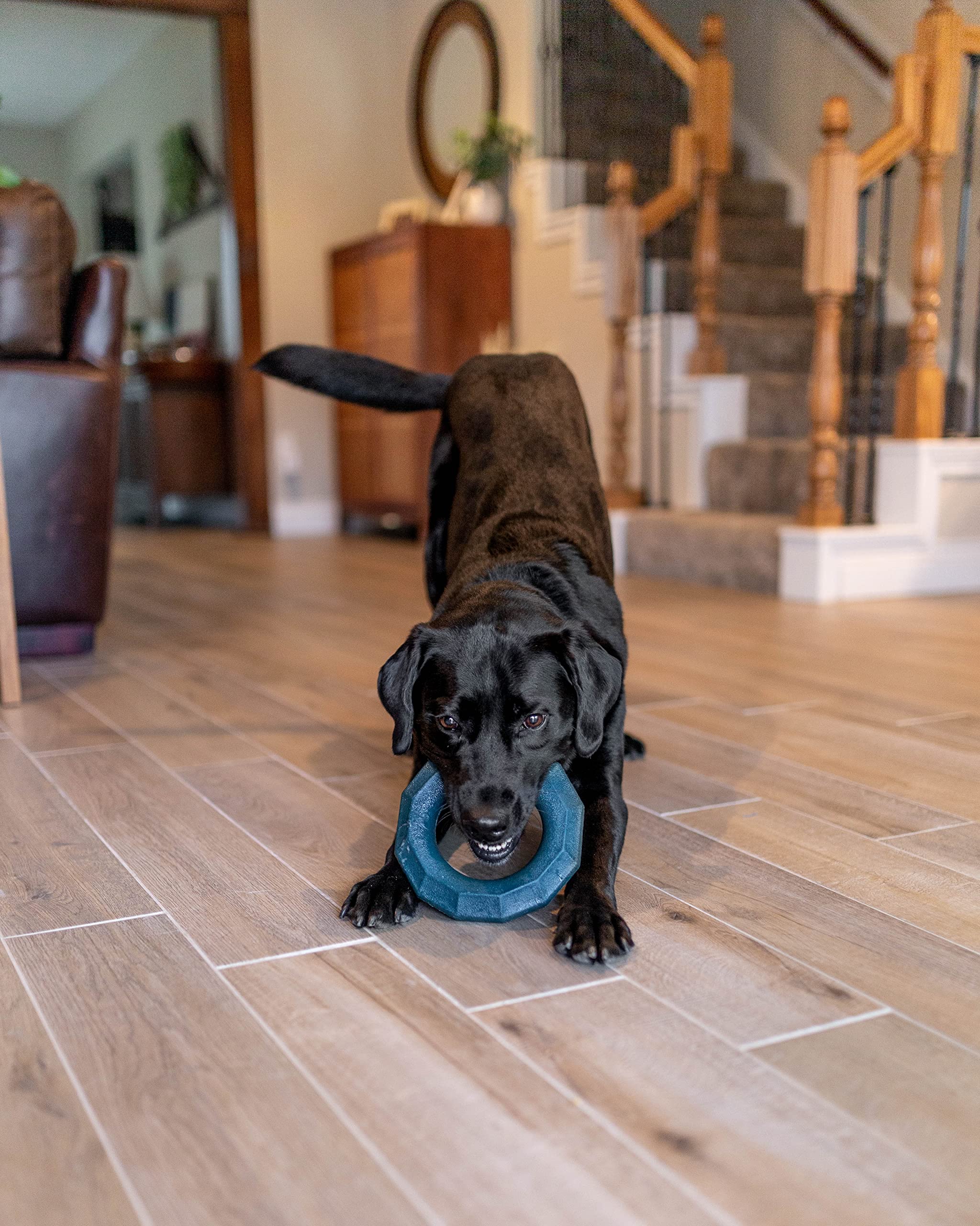 Zippy Paws ZippyTuff Squeaky Ring Fetch Dog Toy - Teal - Medium  