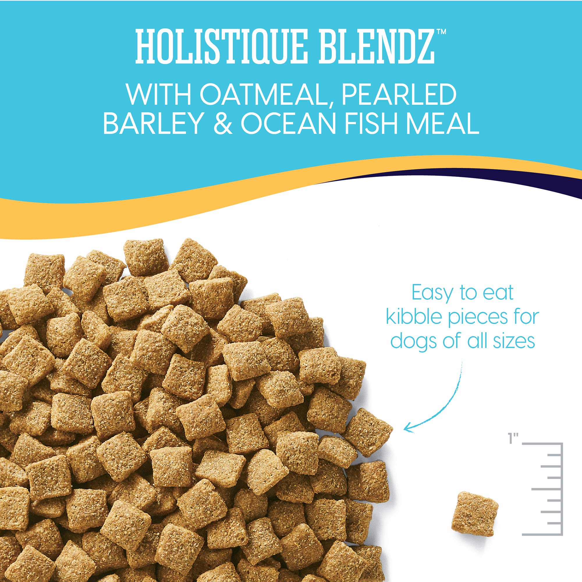 Solid Gold Holistique Blendz Whole Grain Oatmeal Barley and Oceanfish Adult Dry Dog Food - 24 Lbs  