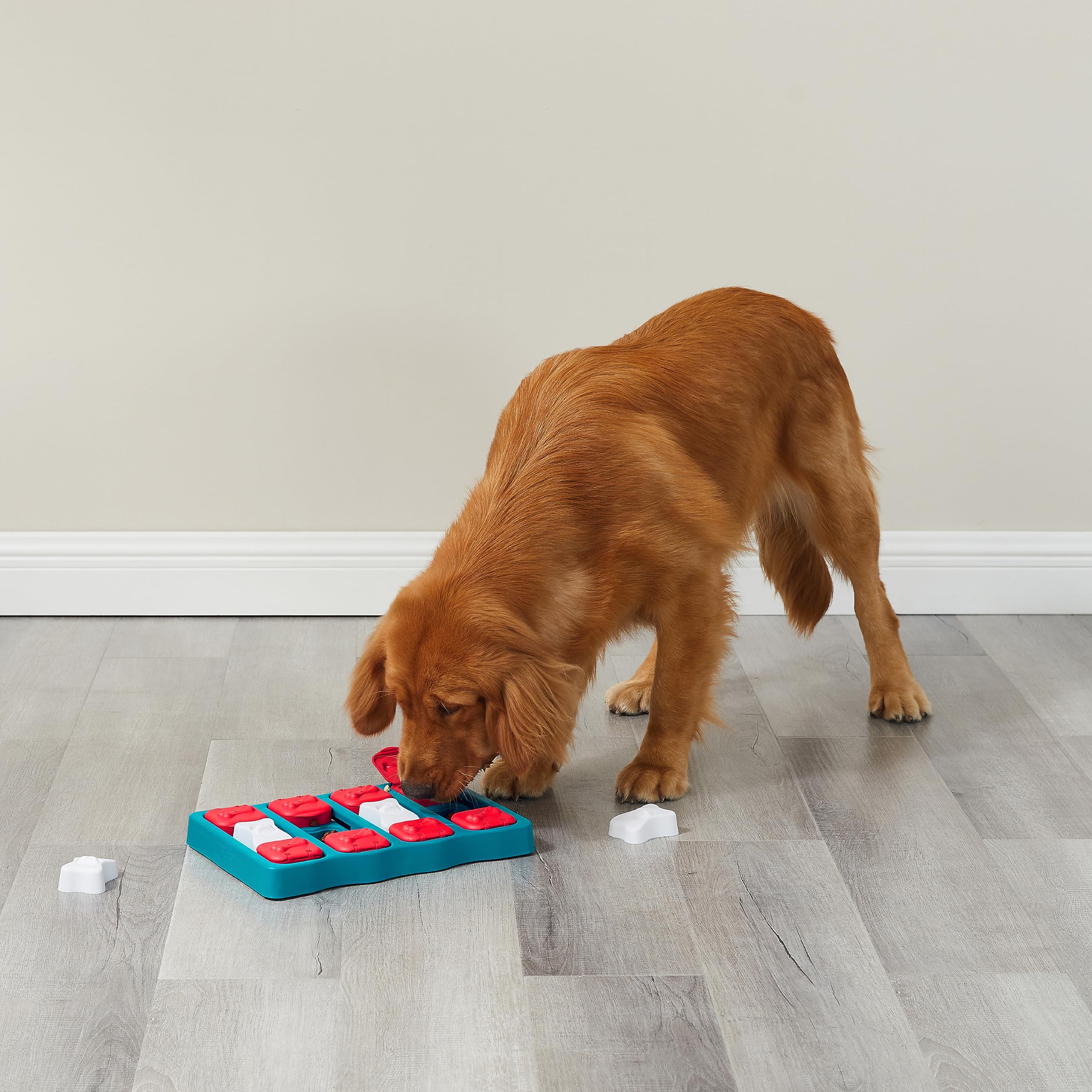 Outward Hound Nina Ottosson Interactive Treat Rewarding Brick Puzzle Feeding Dog Toy - Blue  